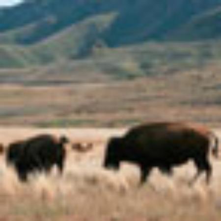 Restaurante El Paabank
